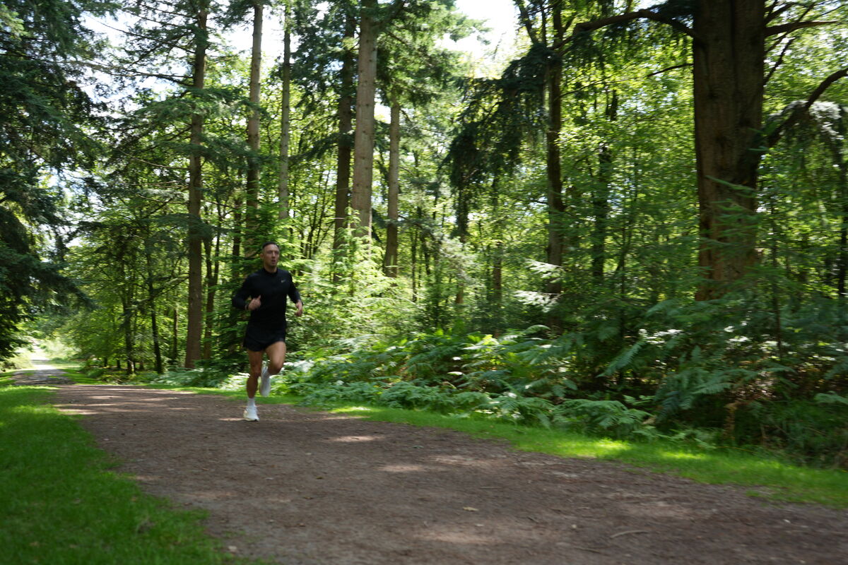 Performance across arenas